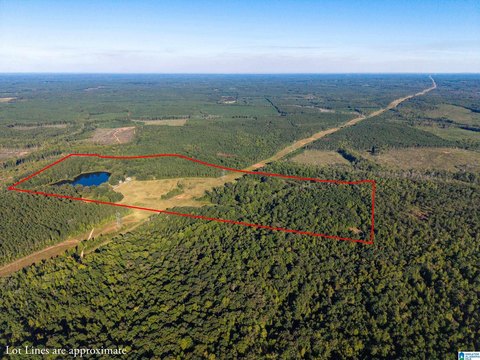 159-Acre Equestrian Property