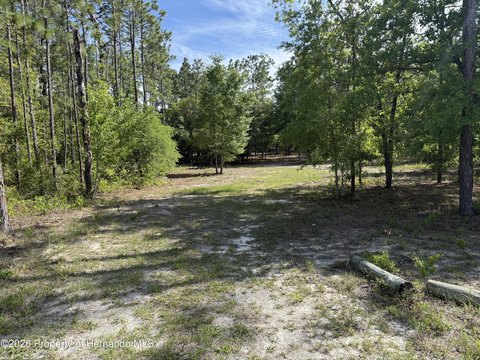 Cleared Lot in Weeki Wachee