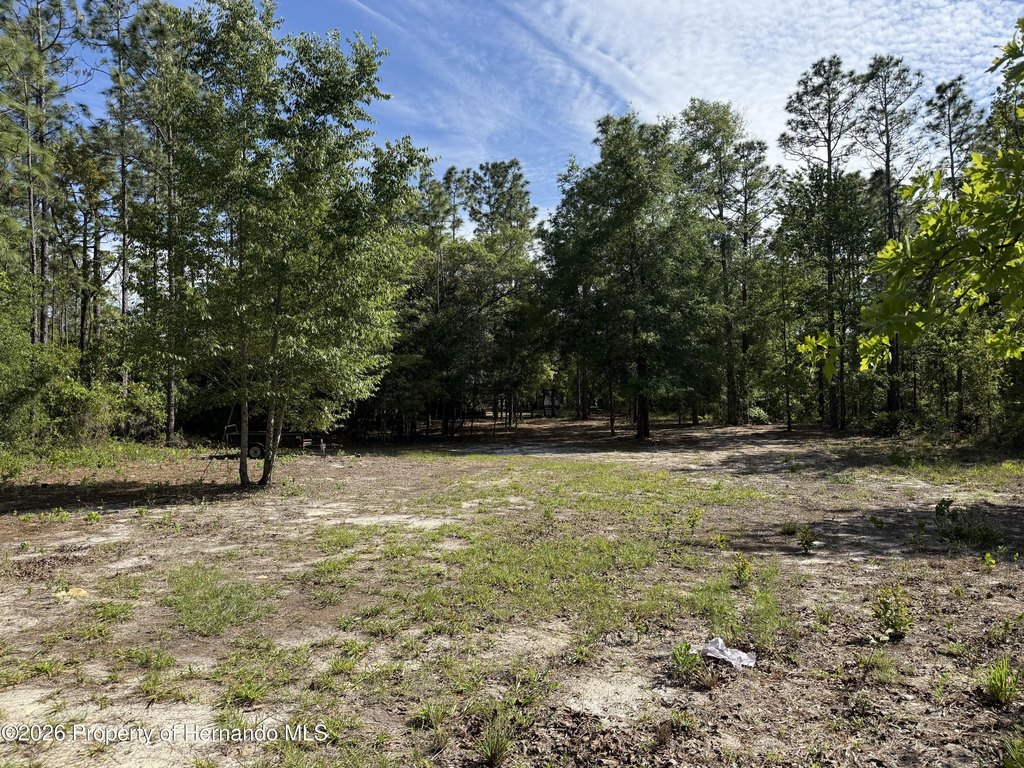 Picture 5