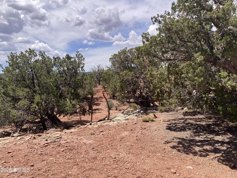 40-Acre Parcel Near Show Low