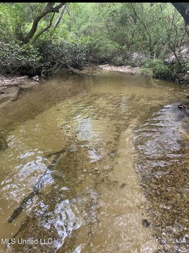 Lucedale Land with Creek
