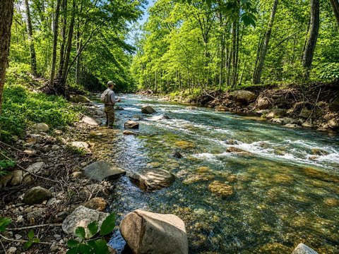Creekfront Land with Stream Access
