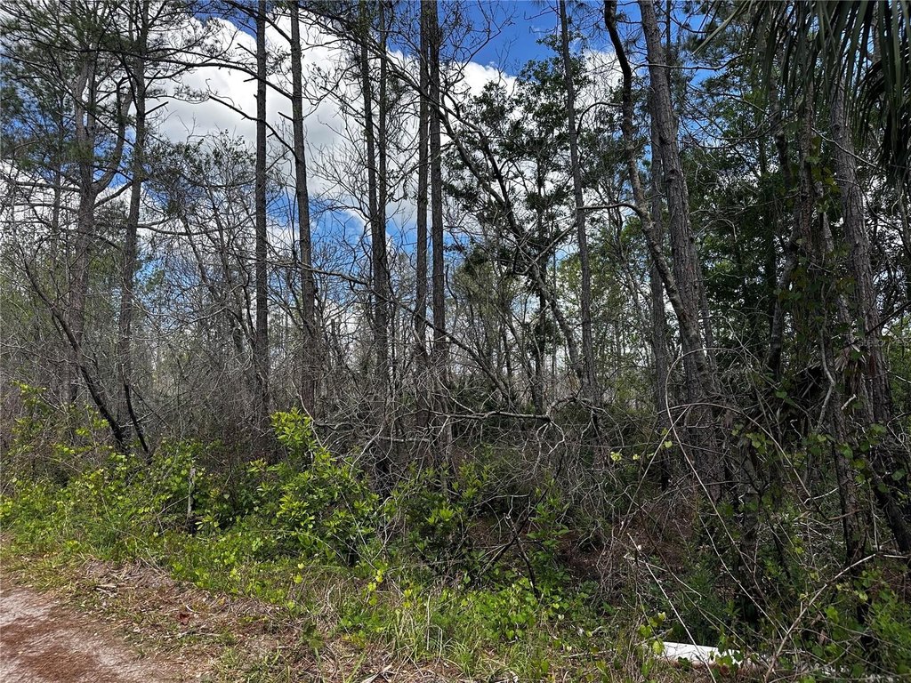 Picture 3