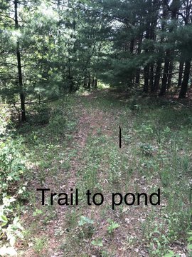 LAND - NESHKORO, WI