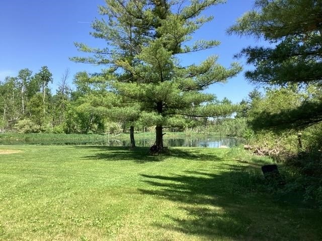 Picture 7