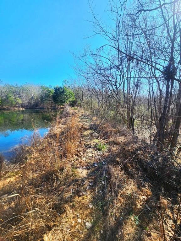 Picture 3