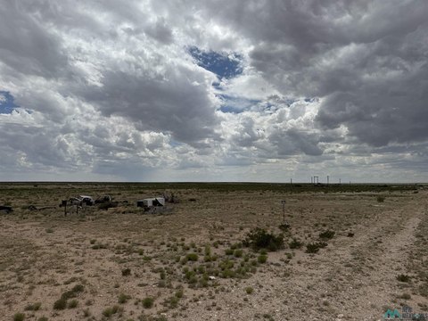 LAND - Artesia, NM