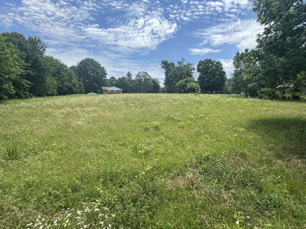 Picture 3