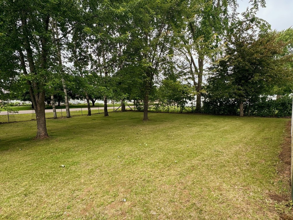 Picture 13
