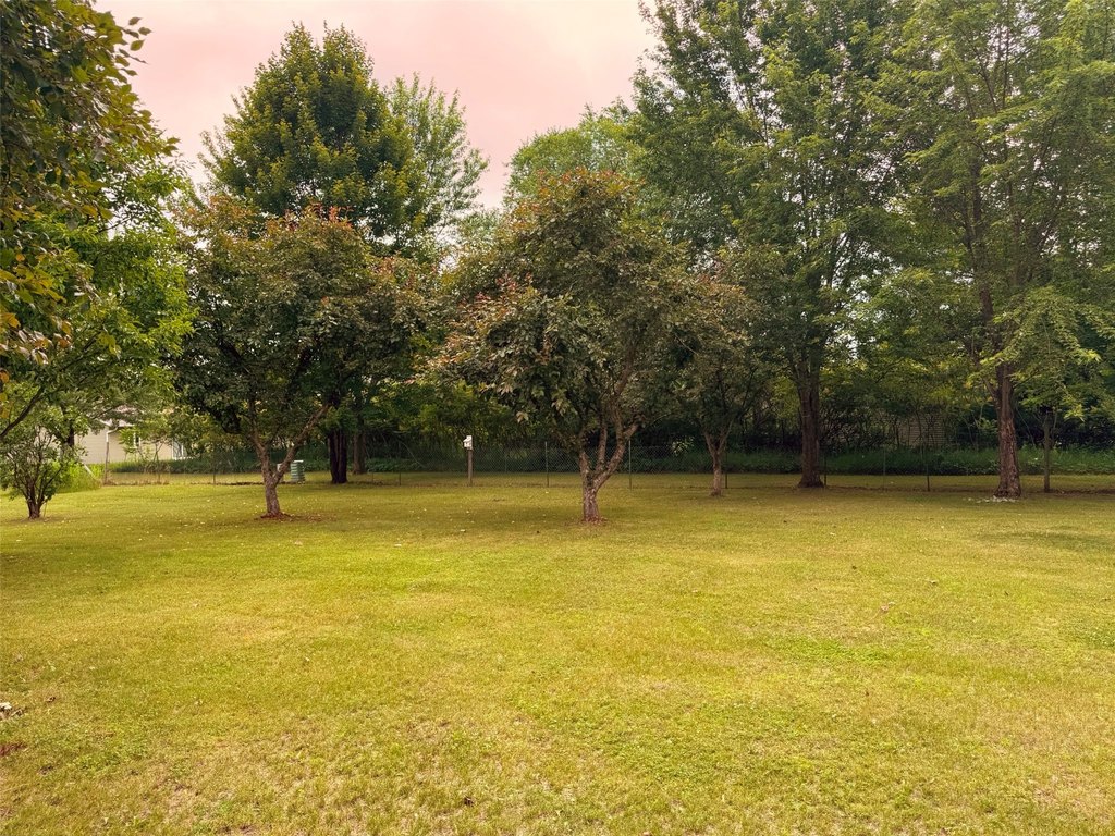 Picture 9