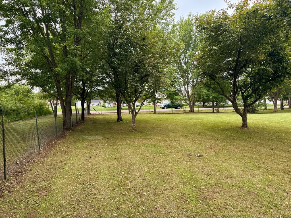 Picture 15