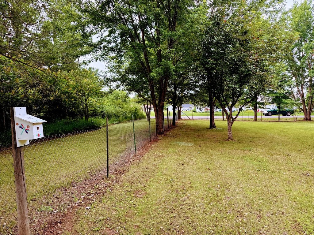 Picture 14