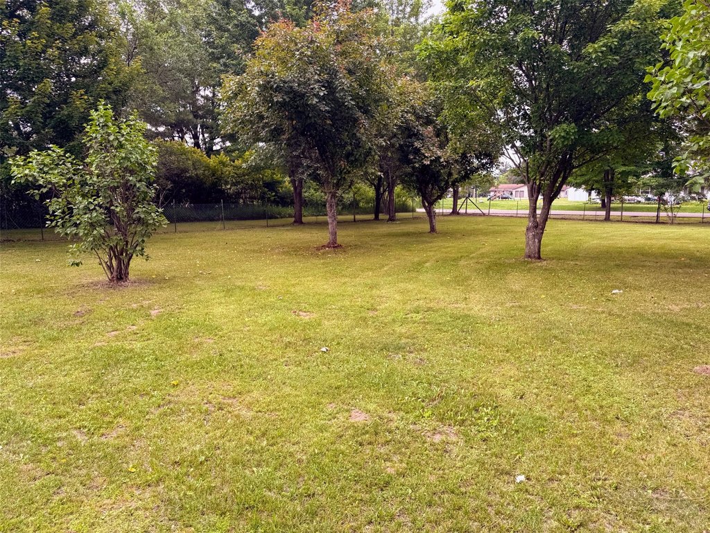 Picture 12
