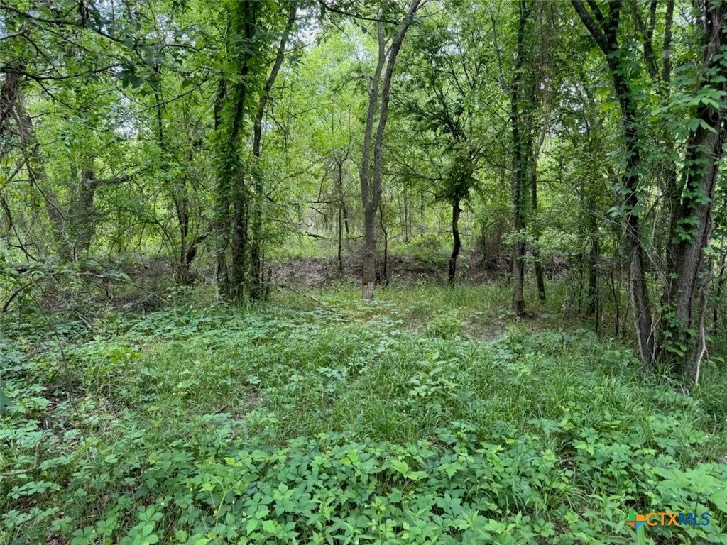 Picture 32