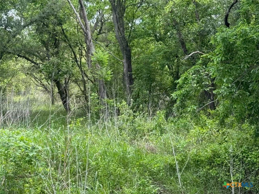 Picture 33