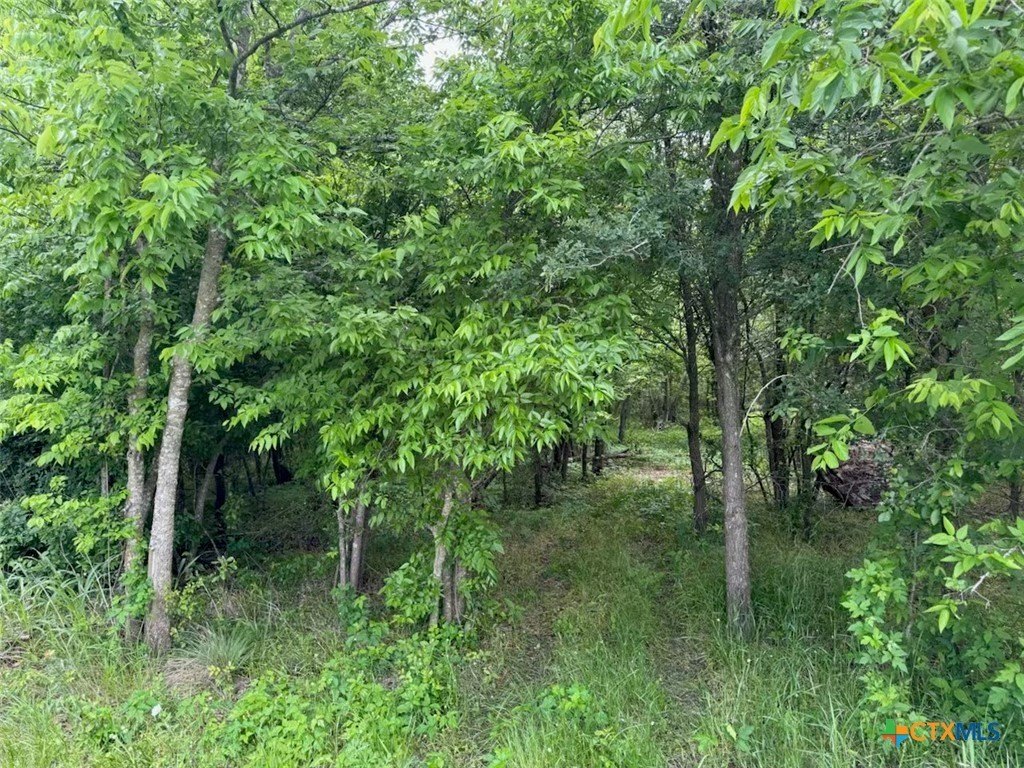 Picture 37
