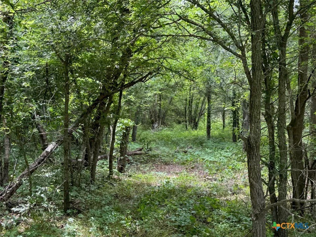 Picture 34