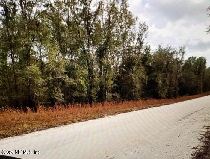 Spacious Lot in Trenton, FL