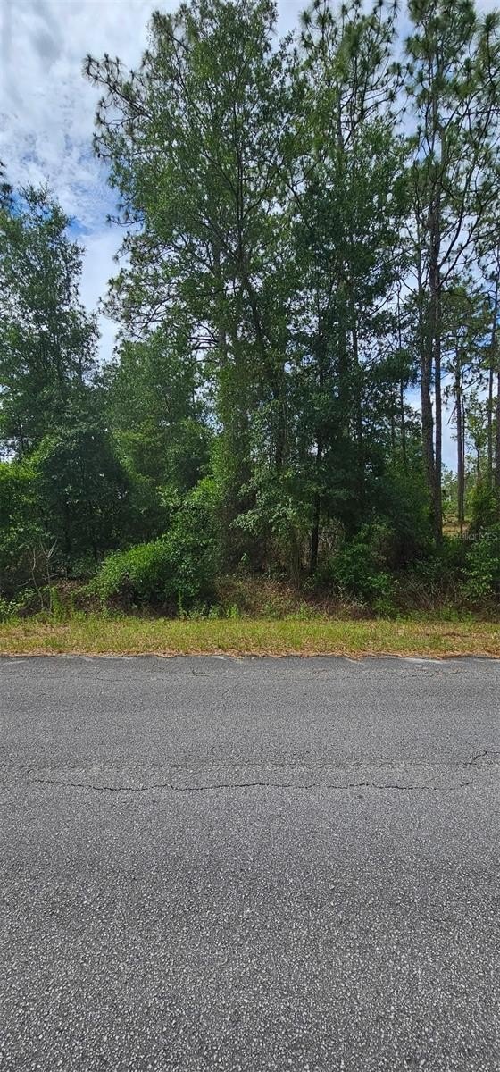 Residential Land Near Rainbow River