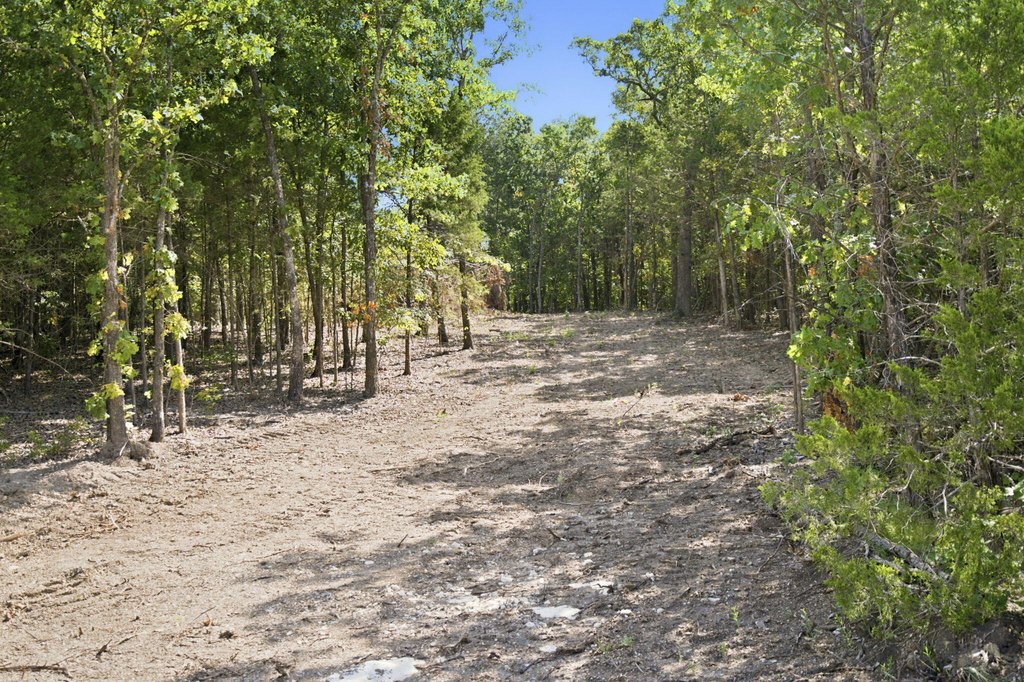 Picture 12