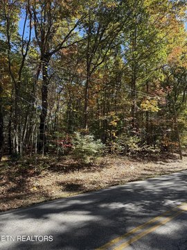 Fairfield Glade Lakeside Vacant Lot
