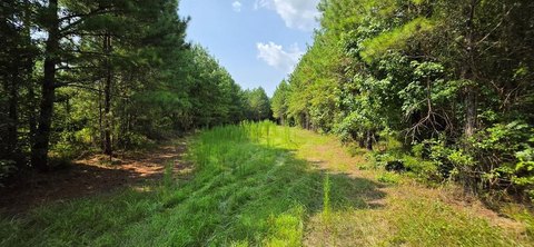 Land, Cottonwood, AL