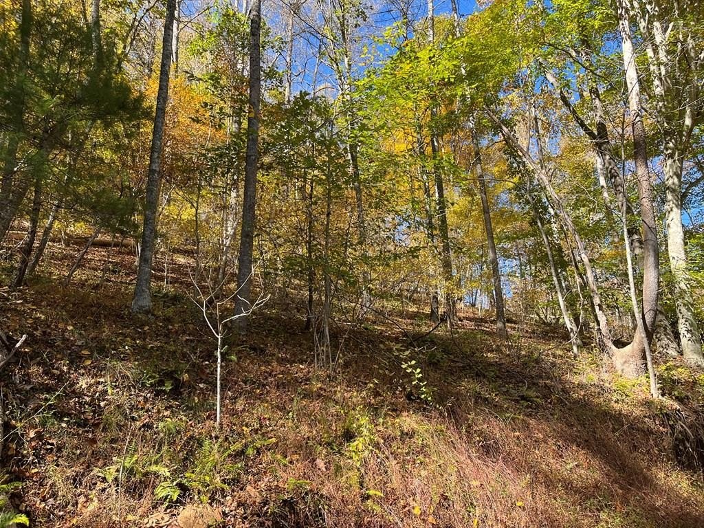 Secluded Recreational Land Near New River