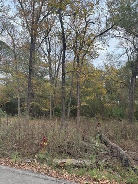 Residential Lot in Lufkin, TX