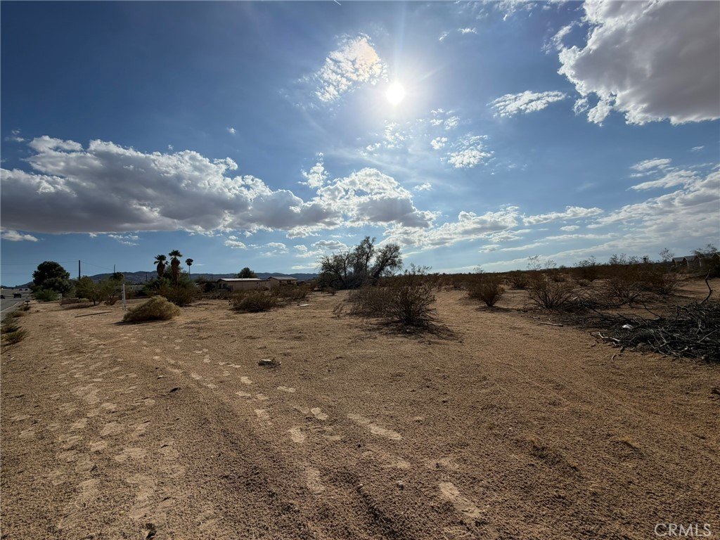 Picture 9