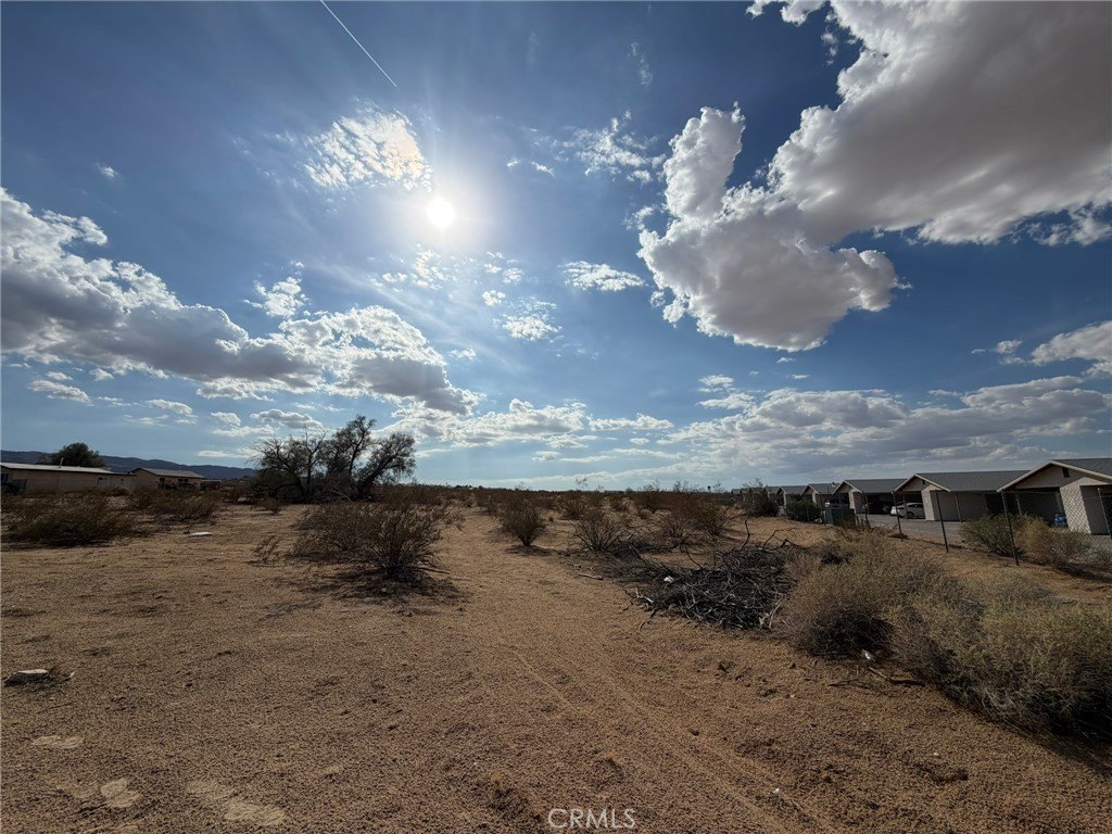 Picture 3