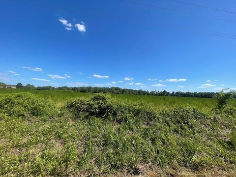Residential 1-Acre Lot, Sumter