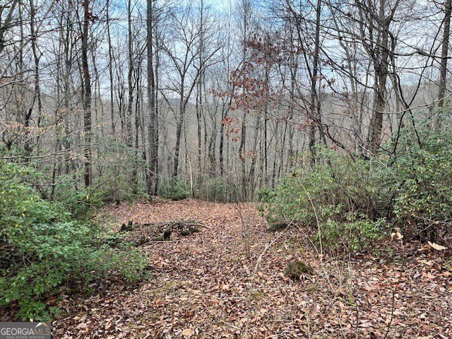 Land in Sautee Nacoochee, GA