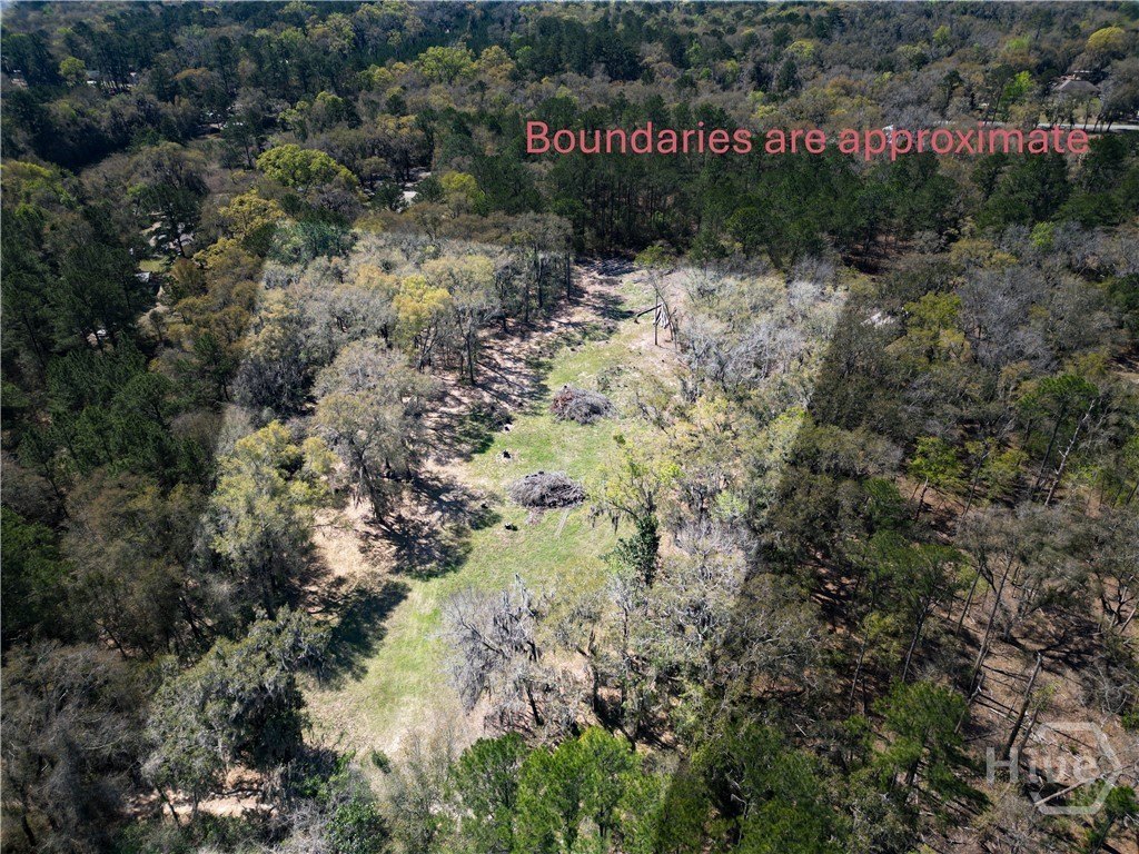 Cleared Land in Midway, GA