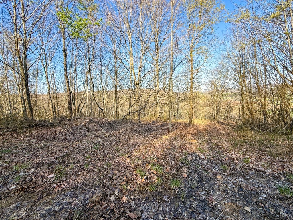 Picture 21