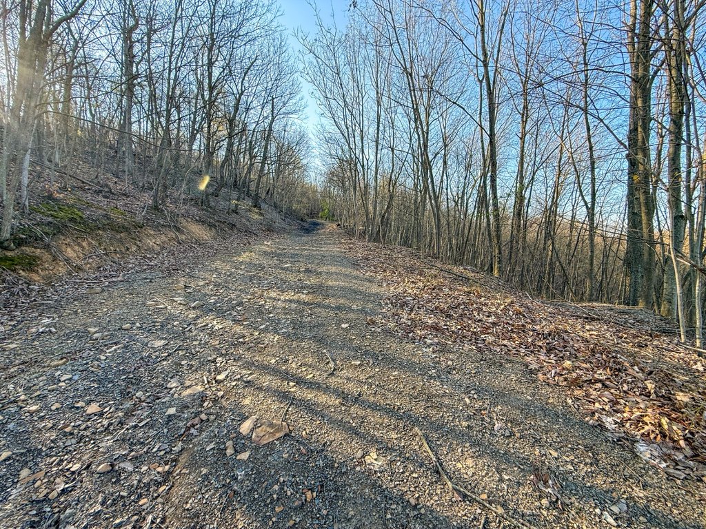 Picture 19