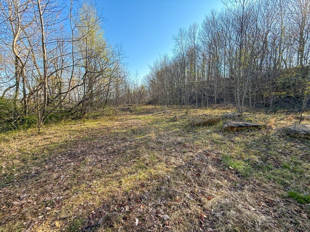 Picture 29