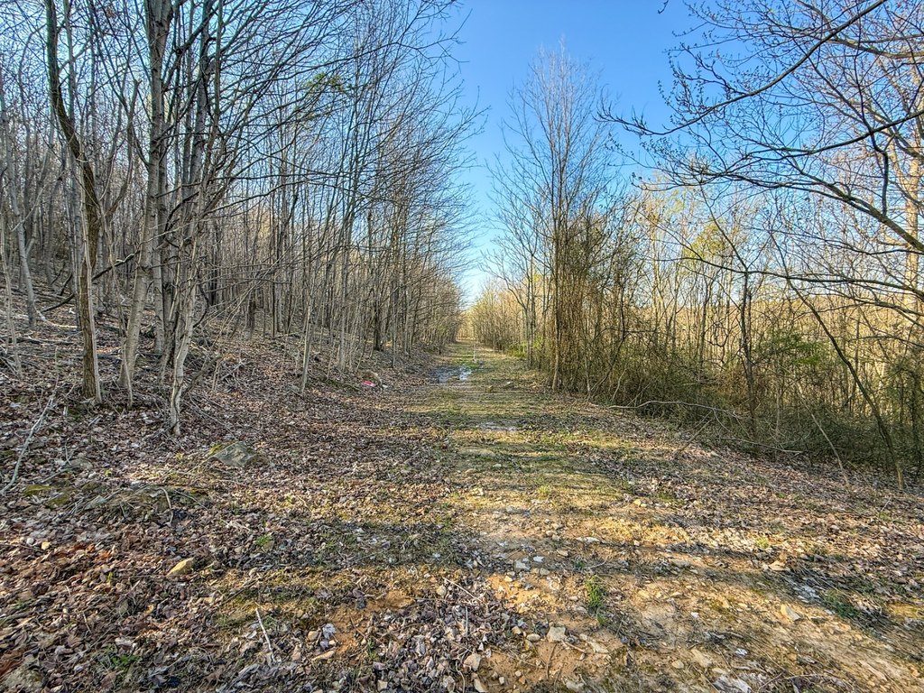 Picture 23