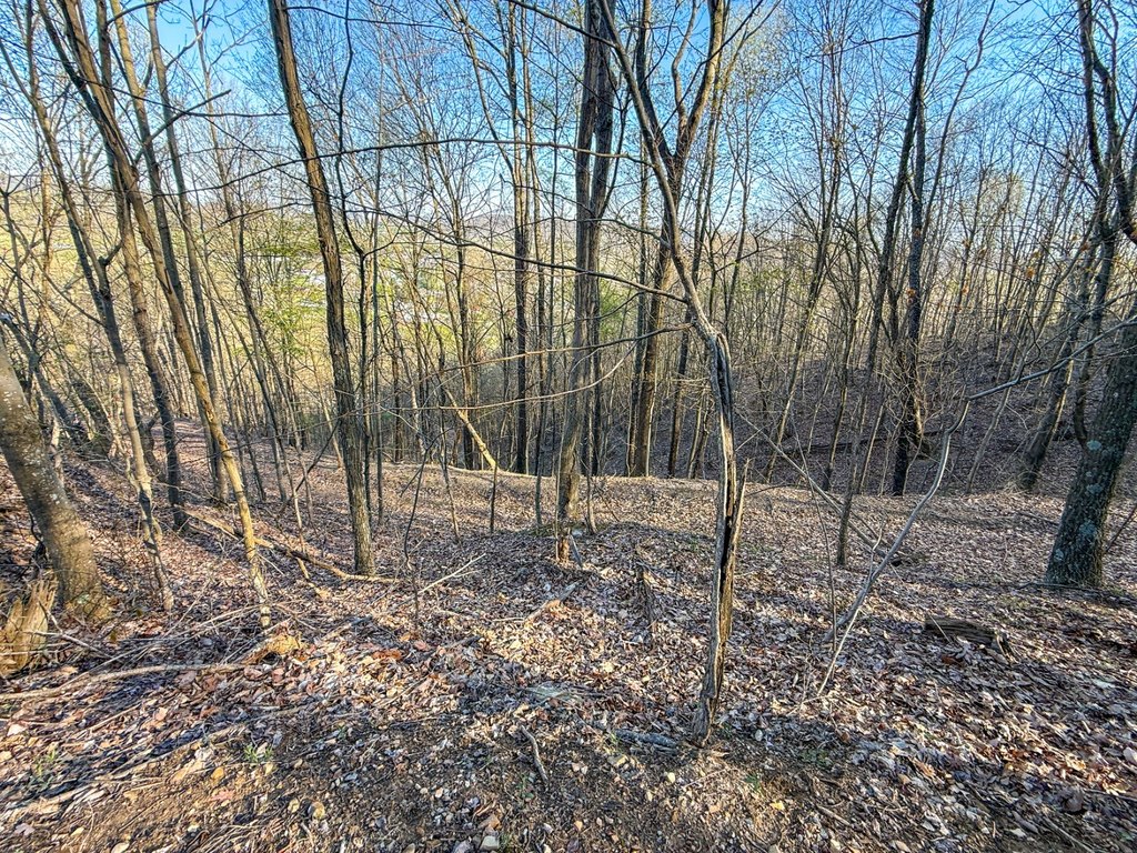 Picture 18