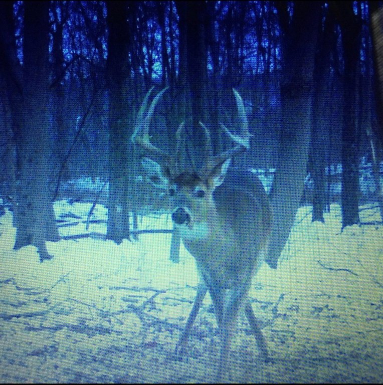 Picture 54