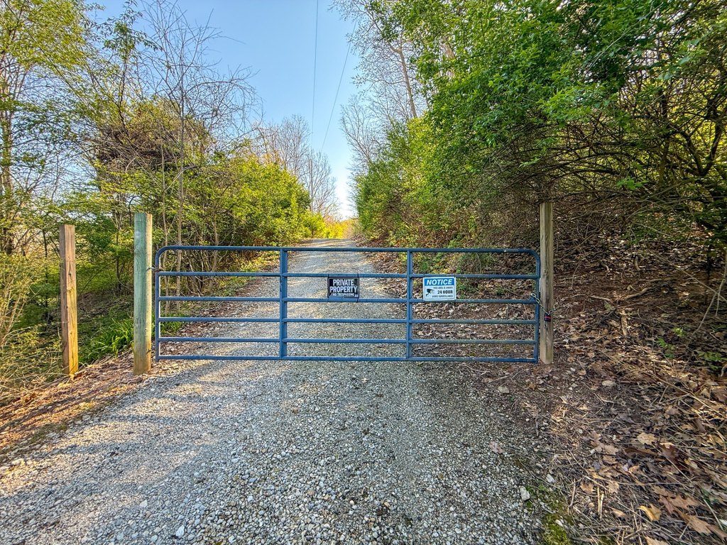 Picture 7