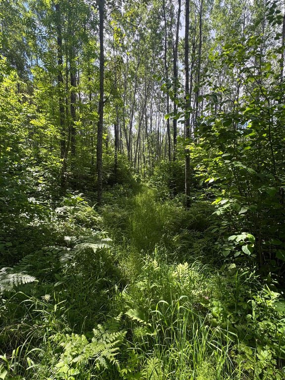 Picture 38