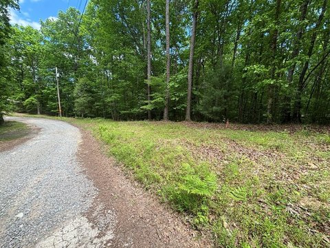 Unrestricted Land Near Nottley River