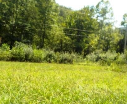 LAND - Ivel, KY