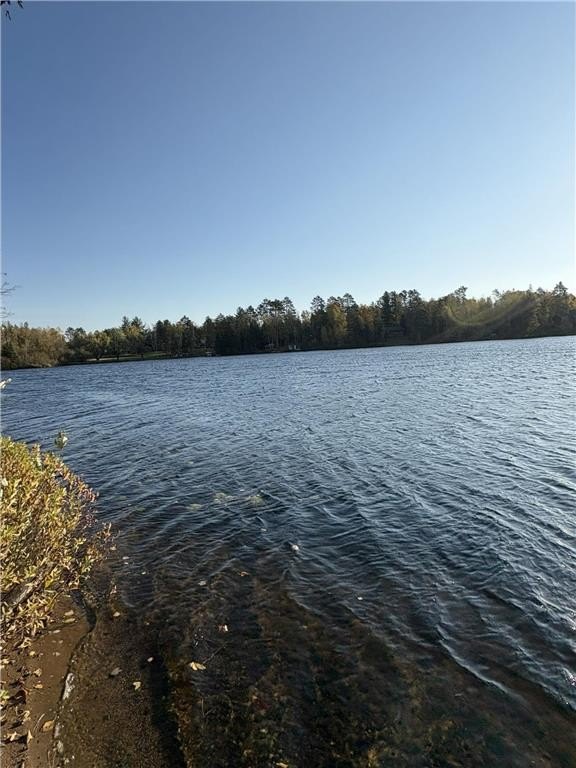 Picture 29