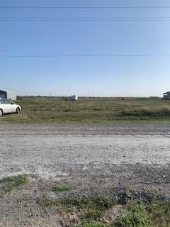 Picture 3