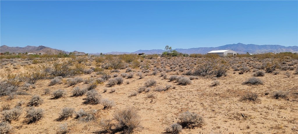 Picture 4