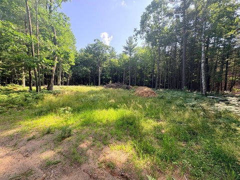 LAND - Eagle River, WI