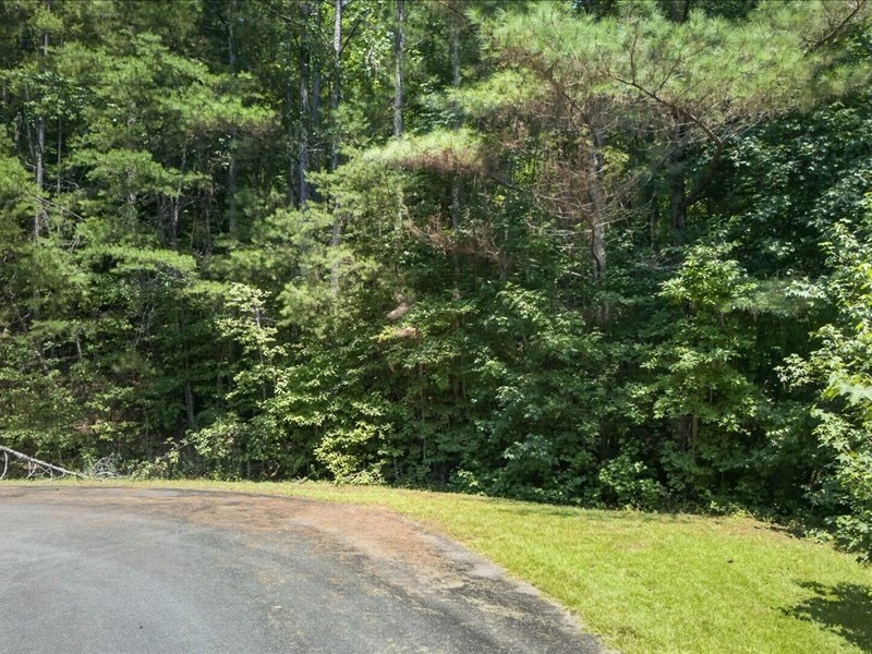 Picture 17
