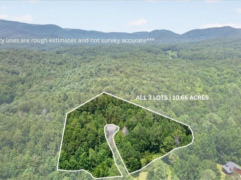 LAND - Ellijay, GA