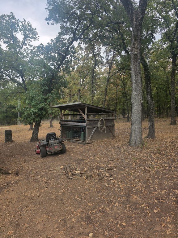 Picture 15